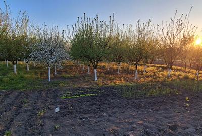 Casă cu 4 camere în Berechiu - 3