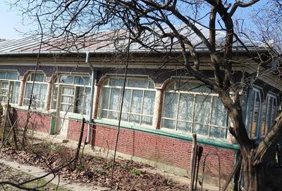 Casă cu Teren 1300 Mp în Vlad Țepeș - 3