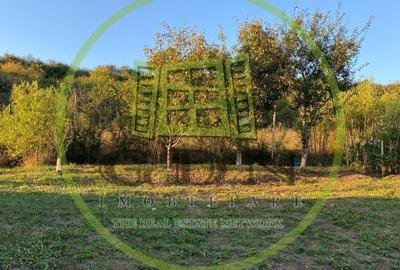 Casă individuală cu 3 camere cu Canalizare în Cristian - 15