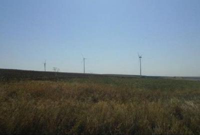 Teren de 5000 mp, în Vârlezi - 3