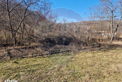 Teren de 4985 mp, în Sascut - 19