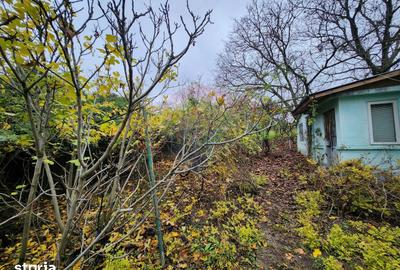 Casă cu 3 camere cu Teren 2200 Mp în Băneasa - 5