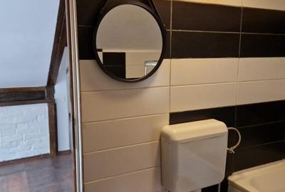 Inchiriere Apartament in Vila, parter+mansarda, zona Chibrit Inchiriere Apartament in Vila, parter+mansarda, zona Chibrit - 11