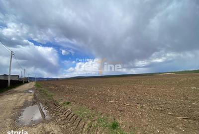 Teren de 900 mp, în Dumbrava - 12