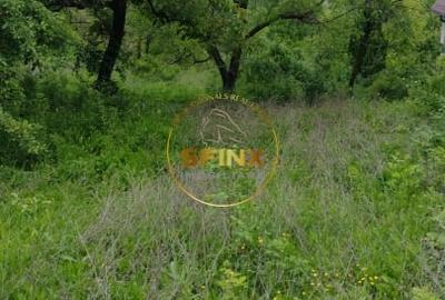 Teren intravilan cu deschidere la parau in Breaza - Strada Primaverii - 8