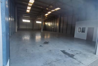 Hala Industriala de inchiriat in Capusu Mare - 2