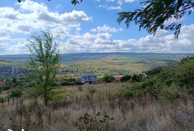 Teren de 4000 mp, în Tomești - 5