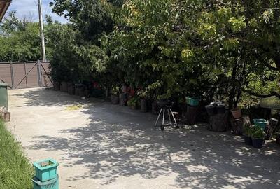 Casă cu 2 camere în Moara Domnească - 3