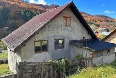 Casa / Vila la gri in Pangarati Neamt - 15