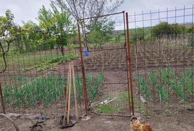 Casă cu 6 camere cu Teren 1000 Mp în Turnu Măgurele - 7