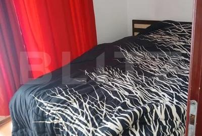 Apartament cu 2 camere semidecomandat, mobilat în Baciu