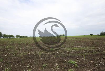 Teren de vanzare in Manesti, Prahova | 18.000 mp | Deschi... - 3