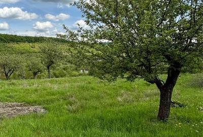 Spațiu comercial, în Unirea - 1