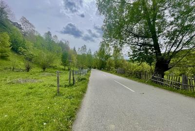 Teren intravilan Traisteni 839 mp, toate avizele - 3