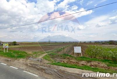 Teren de 7000 mp, în Oancea - 2