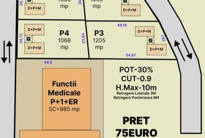 Teren de 1000 mp, în Feleacu - 3