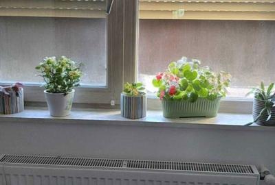 Apartament cu 2 camere decomandat în Ștefănești - 4