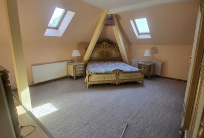 Vila boiereasca, superba, strada, linistita, nelipita de vreun alt imobil Vila boiereasca, superba, strada, linistita, nelipita de vreun alt imobil - 21