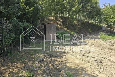 Teren agricol extravilan de 2300 mp, în Cârțișoara - 6