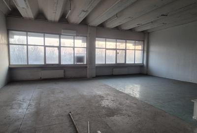 Spațiu industrial, de 270 mp, în Theodor Pallady - 11