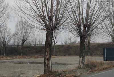 Teren  investitie Ploiesti - 6