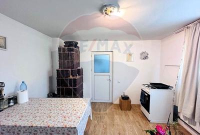Casa cu Toate Utilitatile,Vedere Panoramica,Livada-Stefanesti, Arges - 28