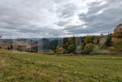 Teren de 6200 mp, în Florești