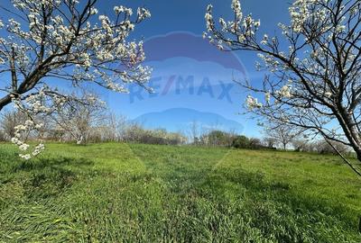 Vanzare casa noua in loc Felnac cu teren de 1190mp Vanzare casa noua in loc Felnac cu teren de 1190mp - 4