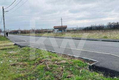 Teren Construcții extravilan de 1000 mp, în Rovine - 3