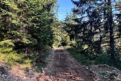 Teren de 9700 mp, în Beliș - 5