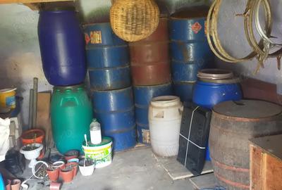 Vand casa Ru?ii Munti - 1