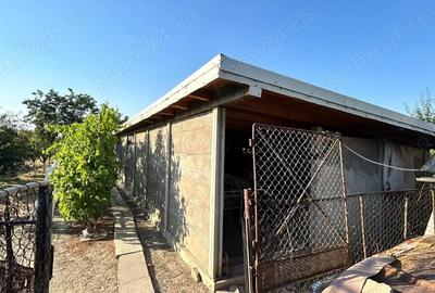 Casă cu 4 camere în Jebel - 4