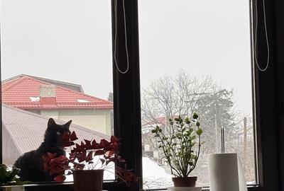 Apartament cu 2 camere în Bucureștii Noi - 5