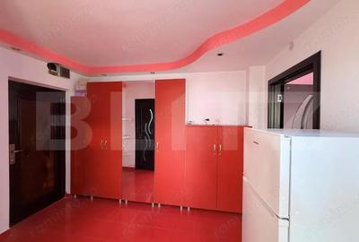 Garsonieră decomandată, mobilată în Brazda lui Novac - 6