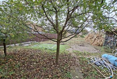 De inchiriat casa 3 camere, singur in curte, Tg. Mures, Unirii - 13