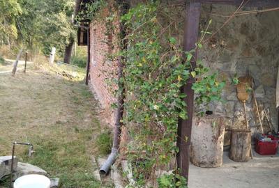 Casă cu 3 camere în Brusturi - 2