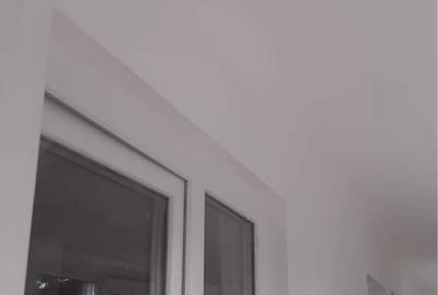 Casă cu 3 camere cu Teren 2200 Mp în Podgoria - 3