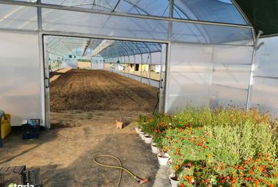 Spațiu comercial, de 3,200 mp, în Grădinari - 5