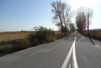 Teren agricol extravilan de 30000 mp, în Băicoi - 4