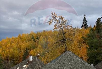 DE VANZARE Pensiune | 12 camere | Bisoca / Buzau - 10