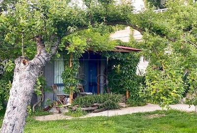 Casa deosebita cu 4 camere, Gherla, Mintiu Gherlii+Teren 120 - 19