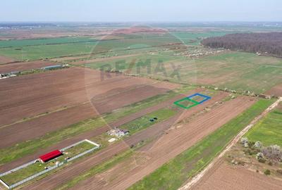 Teren Construcții intravilan de 500 mp, în Săbăreni - 17