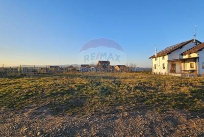 Teren 503mp Halchiu / Strada Ciucasului