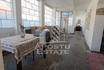 Casa individuala cu teren generos 2158mp, front 12m, livada, Freidorf - 19