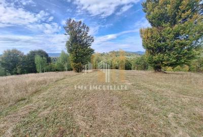 Teren  Intorsura Buzaului Dealul Frumos - 3