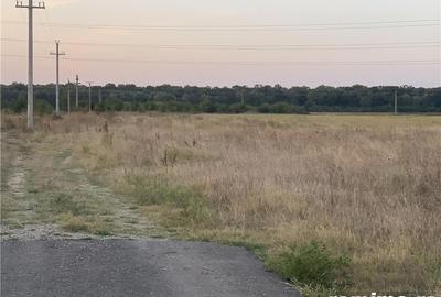 Teren de 2250 mp, în Periș