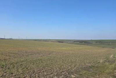 Teren de 7500 mp, în Nord - 2