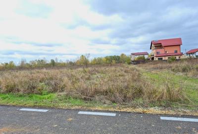 Terenuri de constructie in Domnesti cu toate utilitatile disponibile - 4