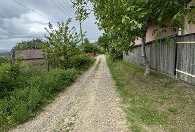 Spațiu comercial, în Covasna - 1