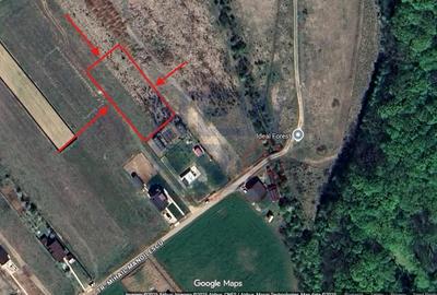 Teren Construcții intravilan de 1650 mp, în Ciolpani - 2